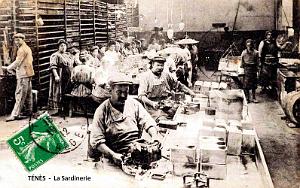TENES - SARDINERIE - 1912